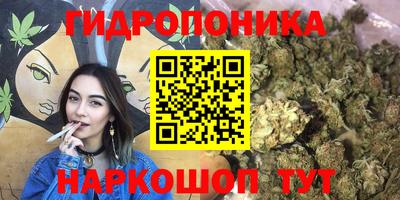 дмт Кулебаки