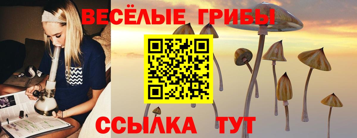 Бузулук  Галлюциногенные грибы MAGIC MUSHROOMS  Вход с VPN 
